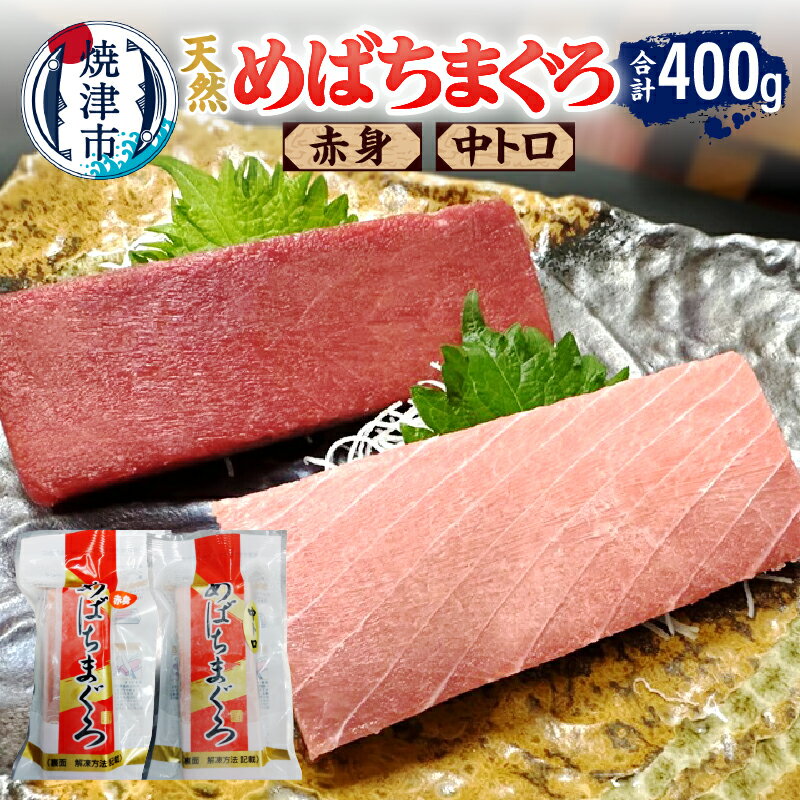 【ふるさと納税】 まぐろ めばちまぐろ 中トロ 赤身 脂身 食べ比べ 計400g セット 天然 柵 魚 焼津 a14-070