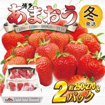 【2026年12月上旬～27年1月下旬発送予定】博多あまおう(冬)250g-270g×2P(岡垣町)【配送不可地域：離島】【1621438】