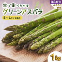 【ふるさと納税】【 先行予約 】「生」で食べられる! 北海道 富良野産 グリーンアスパラ 1kg ( S から L サイズ混合)_ アスパラガス アスパラ 野菜 人気 美味しい 富良野市 富良野 ふるさと 新鮮 【配送不可地域：離島】【1255817】