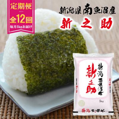 ふるさと納税 南魚沼市 【毎月定期便】南魚沼産新之助 5kg全12回