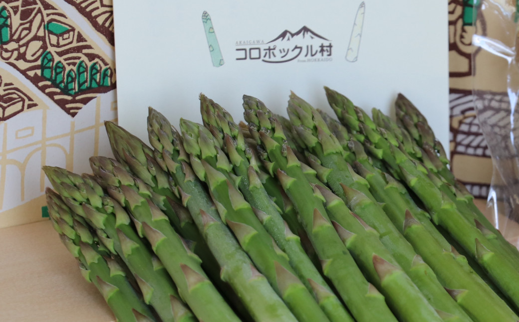 
            コロポックル村の春採り・夏採りアスパラ食べ比べ：５月／８月発送
          