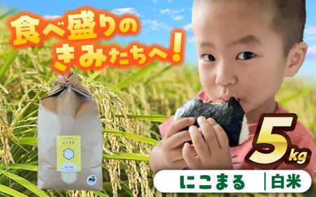 【先行予約/10月より順発送】 【令和7年度産 新米 】にこまる 米 白米 5kg 愛西市 / 戸倉トラクター [AECS055]