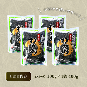 わかめ 400g 湯通し塩蔵わかめ  海鮮 海藻 魚貝類 魚介類 小分け みそ汁 スープ 酢の物 三陸産 岩手県 大船渡市