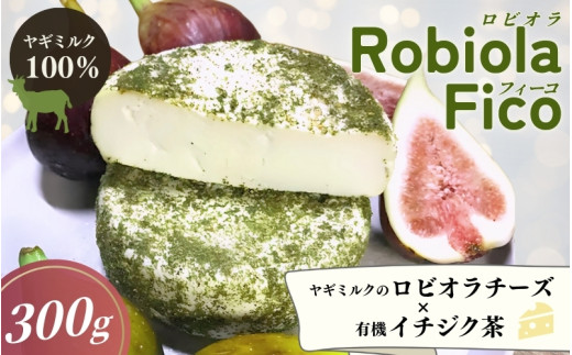 
                  Robiola  Fico　1個（300g） / チーズ 山羊 ヤギ  和歌山県 田辺市【dal004】
                