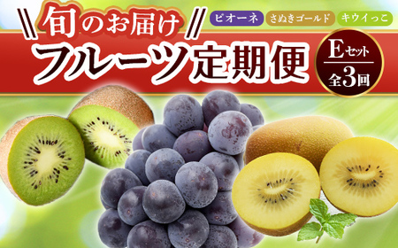 【フルーツ定期便 3回】 《ピオーネからスタート》 Eセット ピオーネ 約1.2kg さぬきゴールド 約2.7kg キウイっこ 約1.8kg ぶどう キウイ キウイフルーツ 旬 果物 国産 香川県 フルーツ定期便 F5J-797