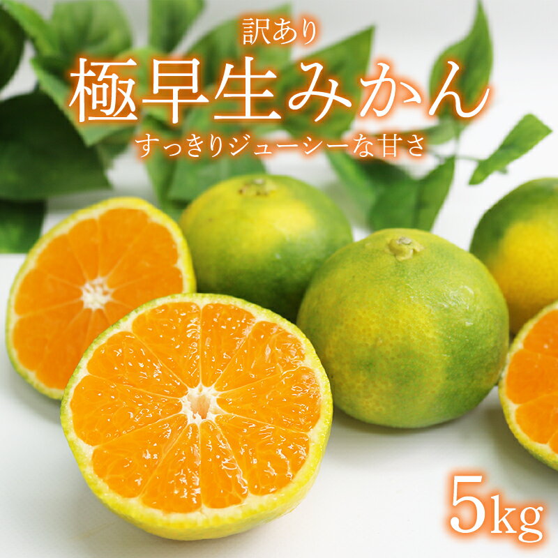【ふるさと納税】 【先行予約】 【訳あり】 極早生みかん 5kg フルーツ 果物 柑橘系 みかん ミカン 傷あり 不揃い ご家庭用 数量限定 送料無料 ＜9月中旬より発送＞ rk050