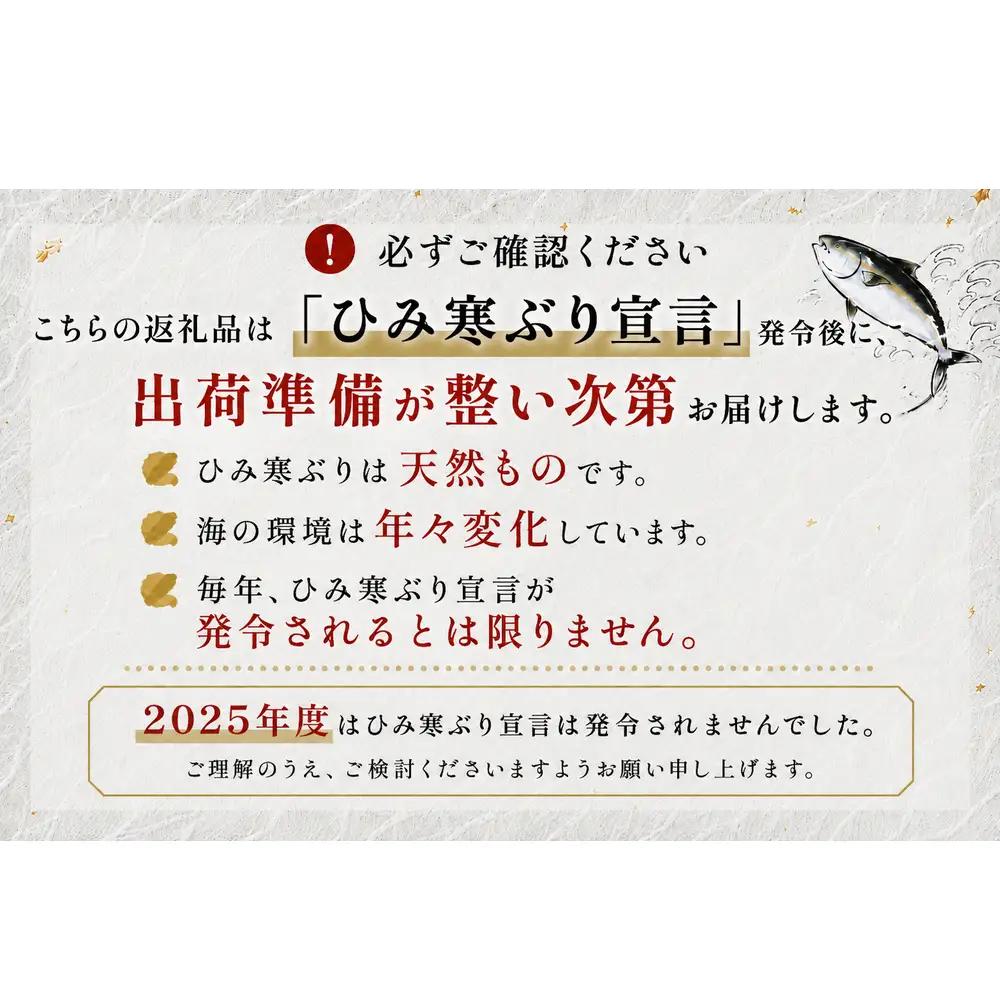 【先行予約】ひみ寒ぶり約500g（切り身）＜冷蔵でお届け＞  富山県 氷見市 ひみ寒ぶり 寒鰤 ブリ 期間限定 切り身 ブロック