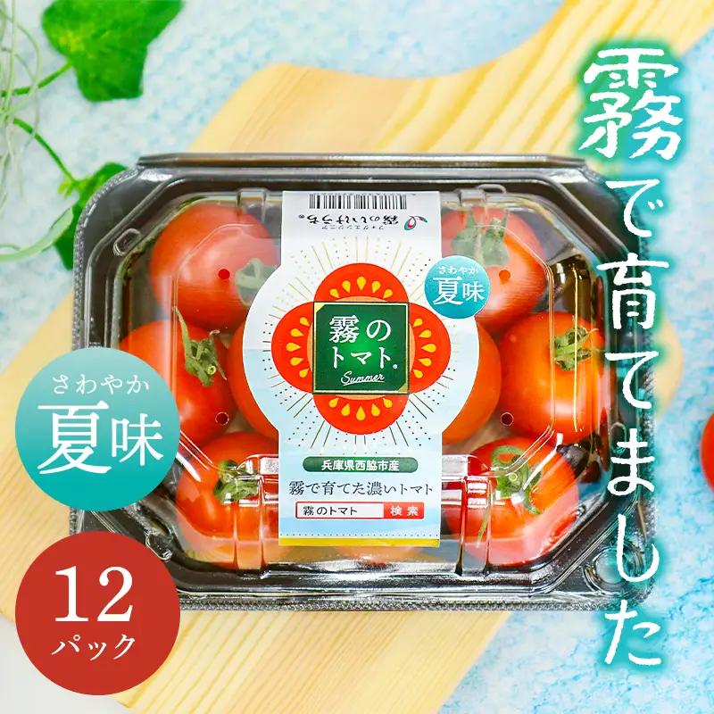 【霧で育てた濃厚な味】霧のトマトSummer 200ｇ×12パック（16-18）
