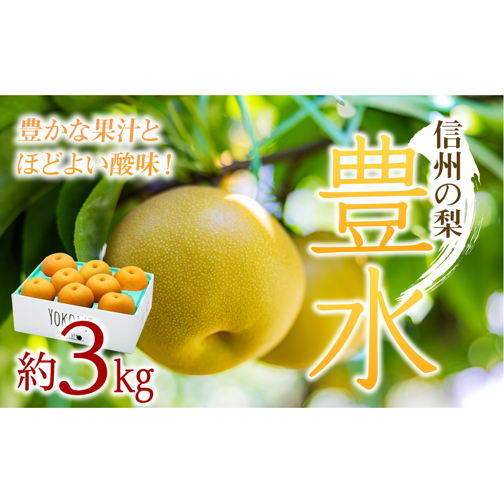 【2025年/令和7年発送分 】梨 長野 豊水 約 3kg 信州の梨 水分たっぷりジューシーな梨です フルーツ 果物 デザート なし ナシ ほうすい ホウスイ 産地直送 長野県 信州産 