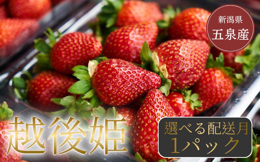 
            【配送月が選べる】数量限定 越後姫 苺1パック 350g (9～18粒) いちご 〈令和7年2月上旬以降順次発送〉新潟県 五泉市 農園 小嶋屋
          