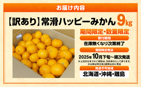 【訳あり】常滑ハッピーみかん 果物 フルーツ 柑橘 蜜柑 みかん 訳あり ご家庭用 数量限定 愛知県 常滑市 知多半島