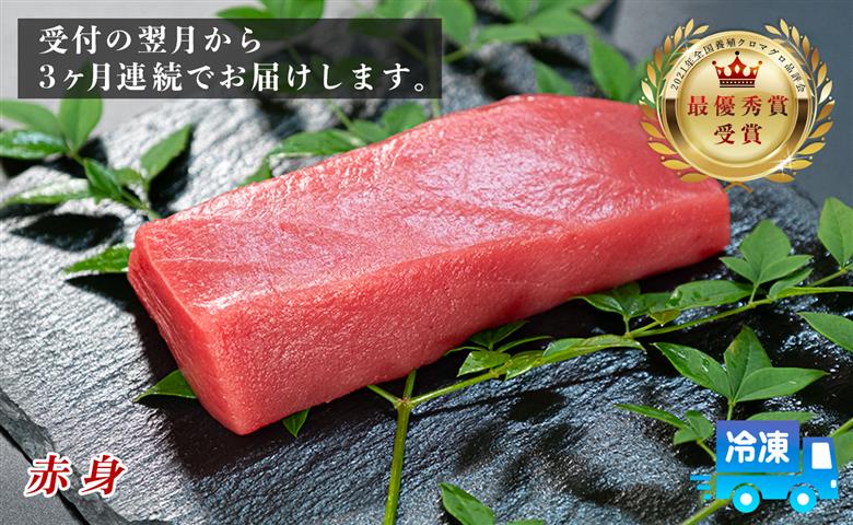 訳あり 不定貫 まぐろ マグロ 本鮪 黒潮本まぐろ 赤身 定期便 3回 120g × 3回 刺身 さしみ 最優秀賞 全国養殖クロマグロ品評会 受賞 魚 魚介類 海鮮 柵 サク 冷凍 お取り寄せ 産地直送 ギフト 贈答 高知県 大月町（PT0080_0321）