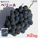 【ふるさと納税】予約受付＜旬のブドウ「ベリーA」約2kg＞ 果物 フルーツ ぶどう 葡萄 甘い おいしい 期間限定 季節限定 食べて応援 特産品 愛媛県 西予市【冷蔵】『2024年8月中旬から9月上旬迄に順次出荷予定』