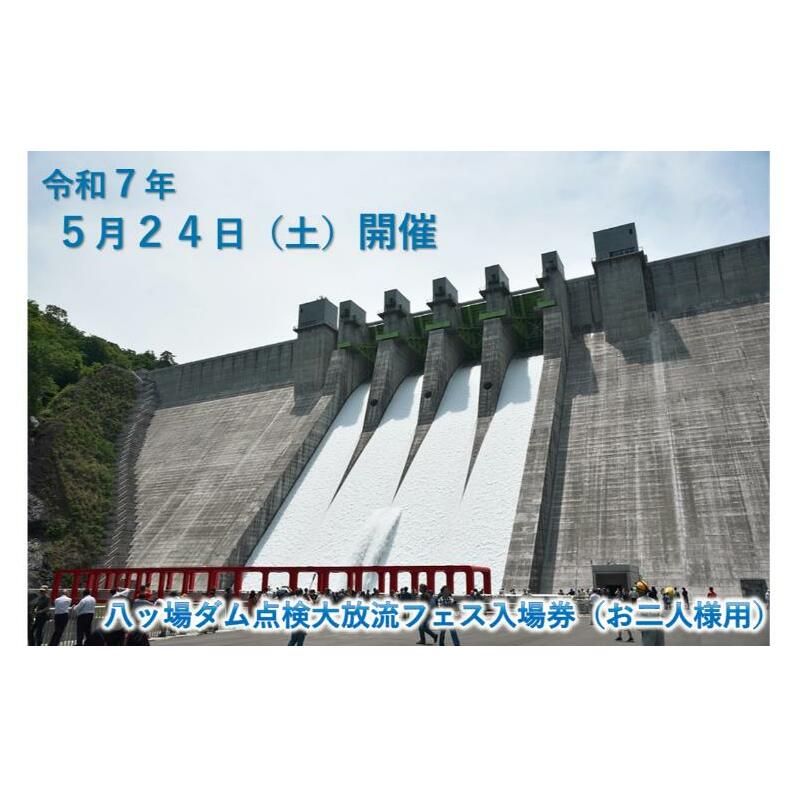 【令和7年5月24日(土)開催】八ッ場ダム点検大放流フェス入場券（お二人様用）イベントチケット 八ッ場ダム