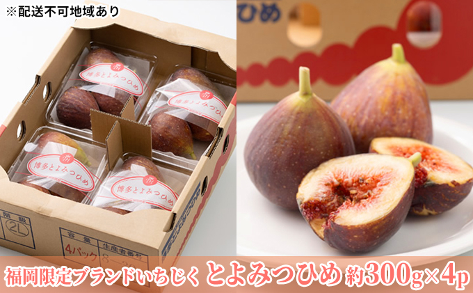 
いちじく とよみつひめ 福岡限定 ブランド 約300g×4パック 配送不可 北海道 東北 沖縄 離島
