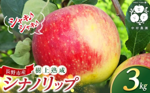 【2027年8月中旬～順次発送 先行予約】フルーツファーム中村農園　樹上熟成　シナノリップ 3kg |  りんご シナノリップ  信州 林檎 果物 フルーツ 夏りんご 人気 おすすめ   ギフト 家庭用 送料無料 長野県 長野市 信州 信濃 ふるさと納税