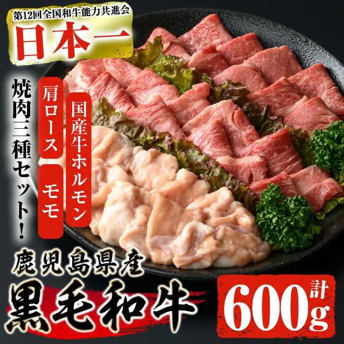 鹿児島県産 黒毛和牛 焼き肉セット (ロース モモ 国産牛ホルモン 各200g 計600g) 【ナンチク】A6-v01