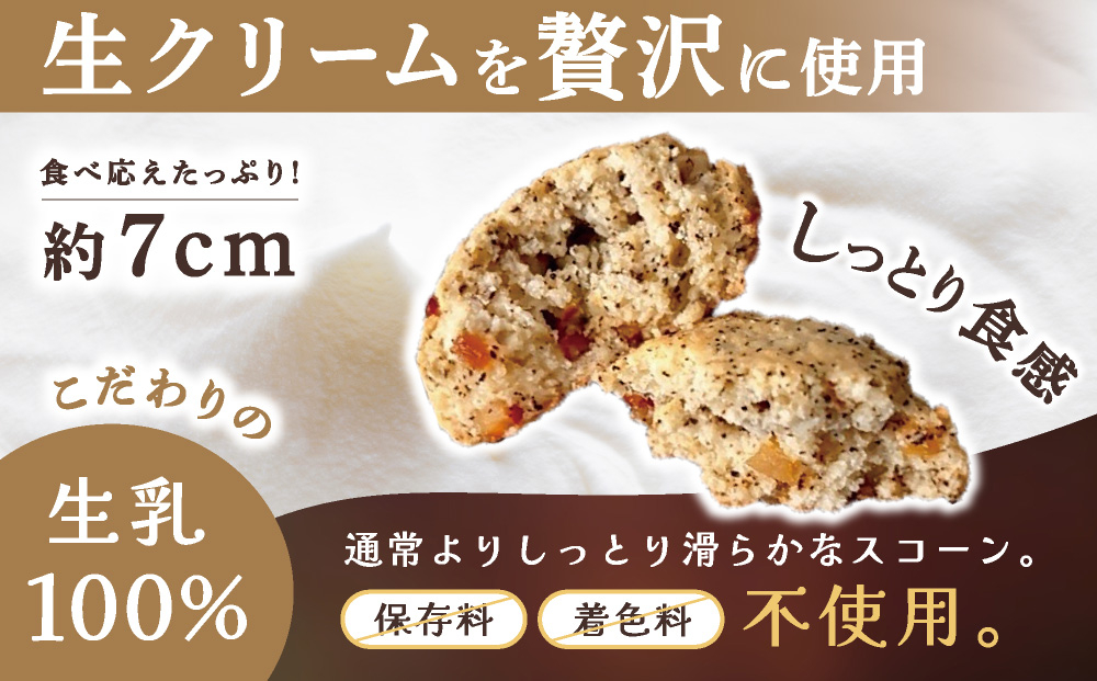 生クリーム スコーン おまかせ 5種10個セット