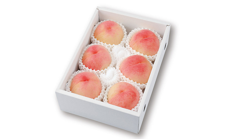 生産者限定　包近の桃(白鳳・まさひめ・なつっこ) 約1.8kg～2kg　もも 桃 大阪府 岸和田市