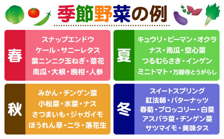 野菜 果物 詰め合わせ 自然栽培 福田果樹園 旬 セット 天草 苓北 熊本 送料無料《90日以内に出荷予定(土日祝除く)》熊本県 苓北町
