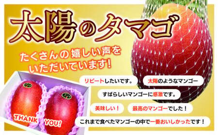 完熟マンゴー「太陽のタマゴ」５L×１玉【規格 基準 最大 濃厚 宮崎 高級 果物 フルーツ 贈答 ギフト 先行受付 送料無料】