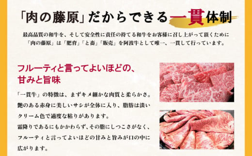 ロース しゃぶしゃぶ用 500g 国産 黒毛和牛 とくしま三ツ星ビーフ 徳島県産 ブランド 和牛 牛肉 ふるさと納税 阿波牛 牛肉 ぎゅうにく 牛 肉 しゃぶしゃぶ すき焼き 鍋  ビーフ  お祝い 