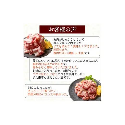 【鶏もも肉】鶏肉 と 豚肉 の セット 計1.1kg ( 鶏もも肉 500g と 豚肉 スライス 600g )