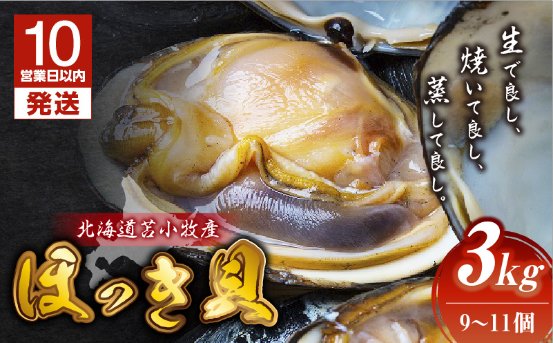 【10営業日以内に発送】北海道苫小牧産 ほっき貝 3kg（9～11個）　T032-001