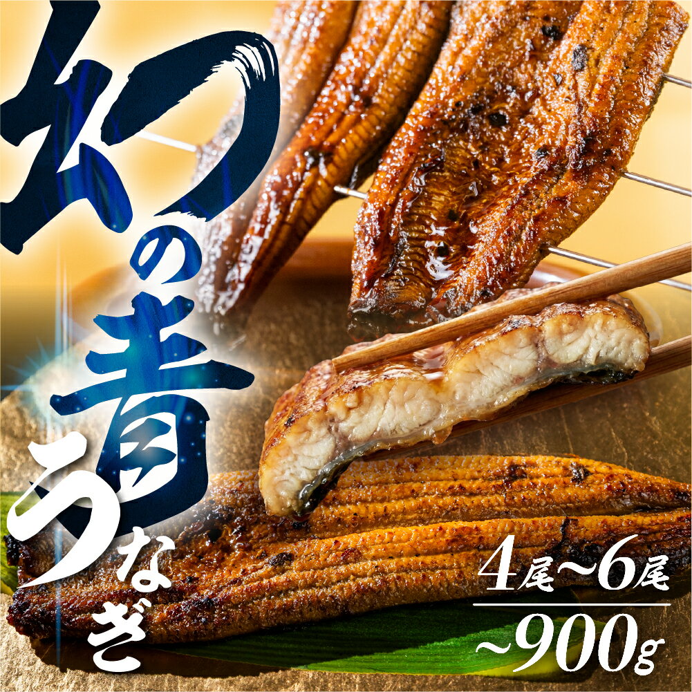 【ふるさと納税】《土用の丑の日 受付中》幻の青 うなぎ 4尾 5尾 6尾 ランキング 入り 蒲焼 発送時期が選べる 4尾 5尾 6尾 青鰻 鰻 蒲焼き 最高級 長蒲焼 特大 土用の丑の日 母の日 丑の日 父の日 指定日 うなぎ 冷凍 惣菜 unagi 暑さ 対策 ランキング 1位 ギフト