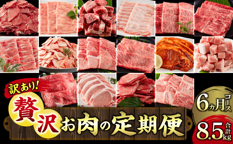 
            【訳あり】<定期便>宮崎県産黒毛和牛・宮崎県産豚肉 6か月コース【牛肉 豚肉 6回 定期 焼き肉 焼肉用 すき焼き しゃぶしゃぶ】_M132-T046
          