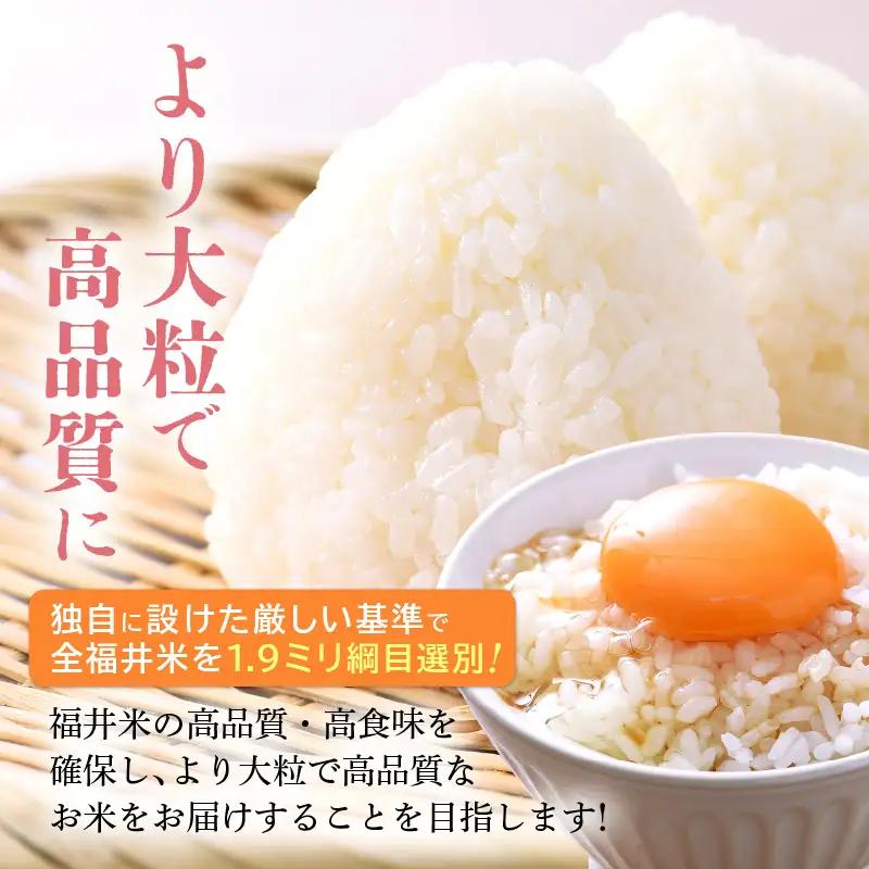 【先行予約】【令和8年産・新米】 定期便 ≪6ヶ月連続お届け≫ 米 コシヒカリ 5kg × 6回 （計30kg）精米 福井県美浜町産 【2026年10月下旬より順次発送】 [m60-f006]