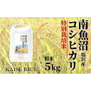 【ふるさと納税】南魚沼産塩沢コシヒカリ【従来品種】（特別栽培米8割減農薬）精米5kg | お米 こめ 白米 コシヒカリ 食品 人気 おすすめ 送料無料 魚沼 南魚沼 南魚沼市 新潟県産 新潟県 精米 産直 産地直送 お取り寄せ