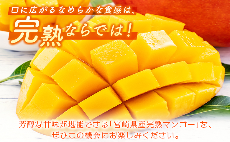 ＜数量限定＞宮崎県産 完熟マンゴー2L×3玉（計1kg以上）※2026年4月下旬配送開始 化粧箱入 フルーツ くだもの【D147】