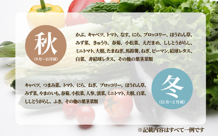 旬のおまかせ野菜BOX 10品～15品 単発便