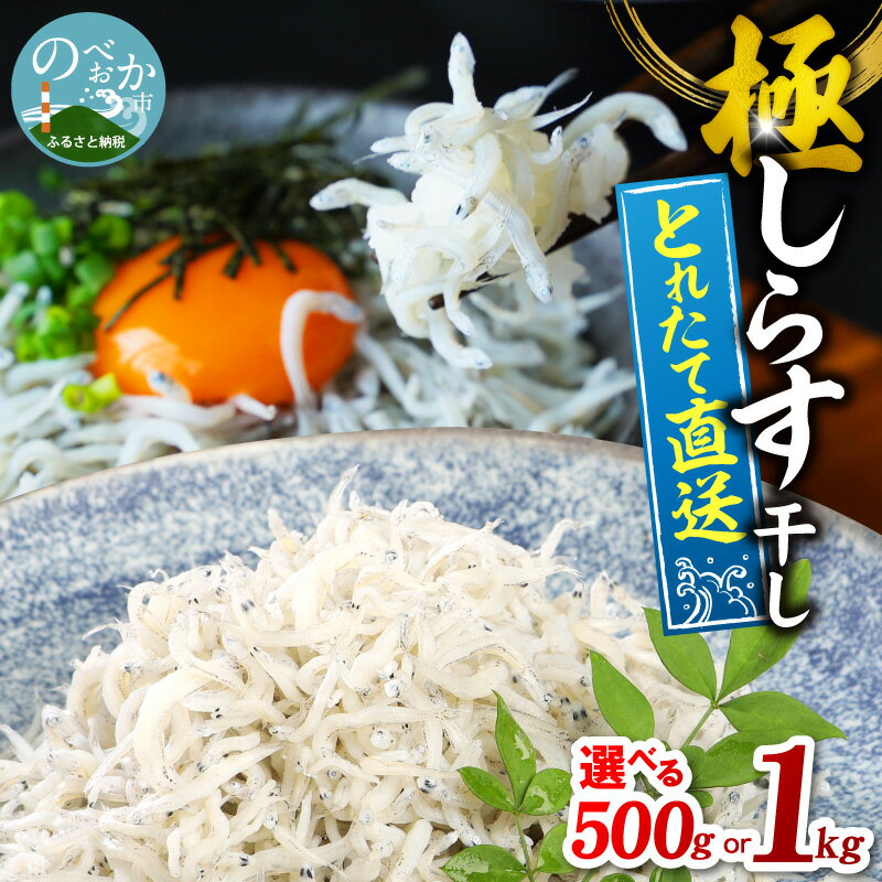 【ふるさと納税】しらす干し 選べる 内容量 500g 1kg しらす とれたて直送 工場直送 釜揚げ 新鮮 鮮度 ふっくら 冷蔵 食品 加工品 グルメ 魚 ご飯のお供 おかず おつまみ お取り寄せ 宮崎県 延岡市 送料無料