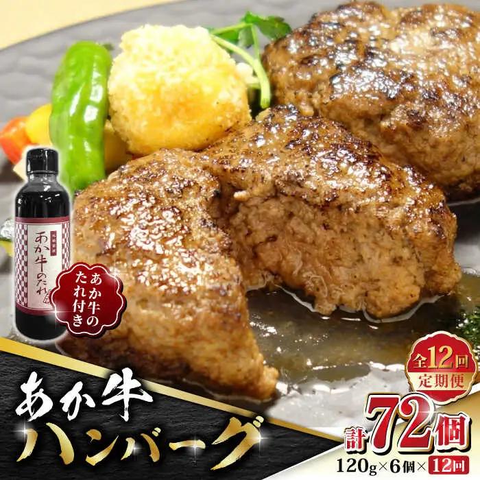 【全12回定期便】あか牛 100％ハンバーグ セット 120g×6個【有限会社 三協畜産】 国産 赤身 赤牛 褐牛 あかうし [ZEB083]