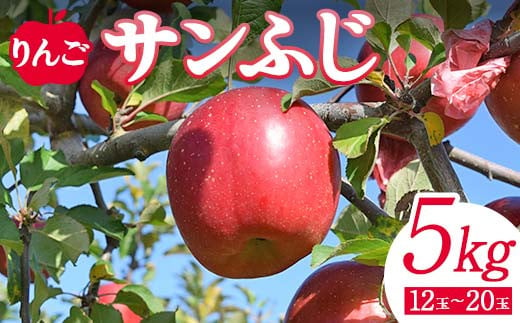 
＜先行予約＞りんご サンふじ5kg（12玉～20玉） リンゴ フルーツ 果物 福島県 鏡石町 F6Q-138
