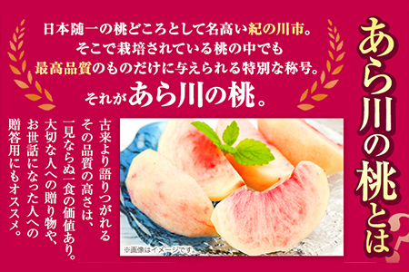 桃 あら川の桃 約2kg　【2027年先行予約】