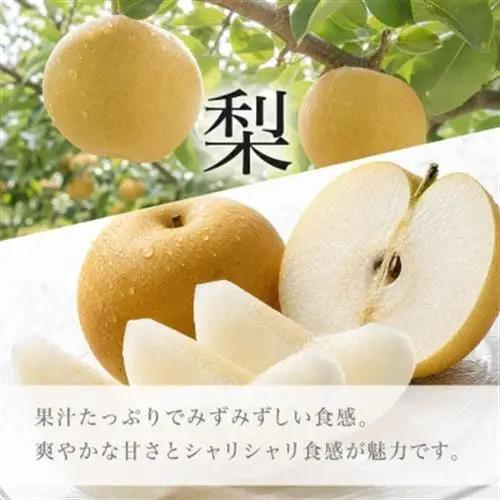 【発送月固定定期便】紀州和歌山産旬のフルーツセット(7月:桃約1.8kg・8月:梨約2kg)全2回【配送不可地域：離島・北海道・沖縄県】【4074866】