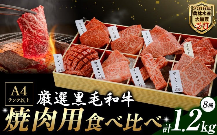 
            厳選 くまもと黒毛和牛 焼肉用食べ比べ8種 1.2kg《45日以内に出荷予定(土日祝除く)》熊本県 大津町 くまもと黒毛和牛 和牛焼肉LIEBE 厳選部位 希少部位 特上カルビ サーロイン ザブトン 上モモ ランプ イチボ ミスジ 冷蔵 リーベ
          