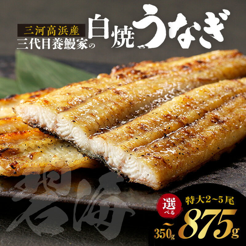 【ふるさと納税】三河高浜産三代目 養鰻家 の白焼きうなぎ【 特大 】【選べる尾数】 タレ付 マツコの知らない世界 秋 旬 愛知県産 白焼き 特大うなぎ 国産 うなぎ 養殖 肉厚 お祝い 丑の日 鰻 国産鰻 食べ物 高級 魚介類 送料無料