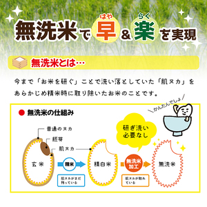 SE0289　12月中旬発送開始／【隔月6回定期便】無洗米はえぬき　5kg×6回(計30kg) 農家直送『いいあん米』 AG
