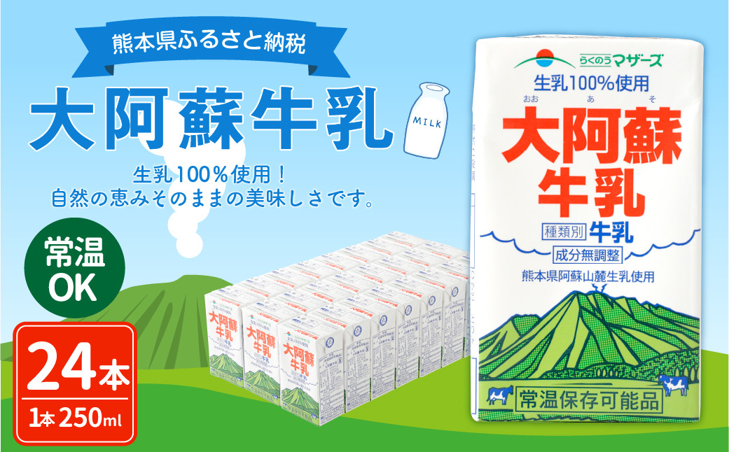 
大阿蘇牛乳 250ml×24本 1ケース 紙パック 常温保存可能
