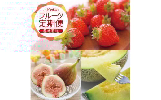 【3回定期便】農家直送 こだわりのフルーツ定期便2026 (いちご、庄内メロン、いちじく) SE0463