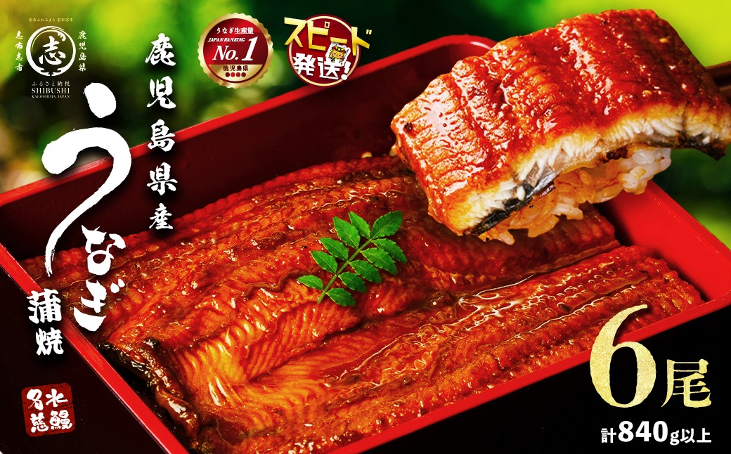 鹿児島県産うなぎ蒲焼 名水慈鰻 6尾＜計840g以上＞ c3-024