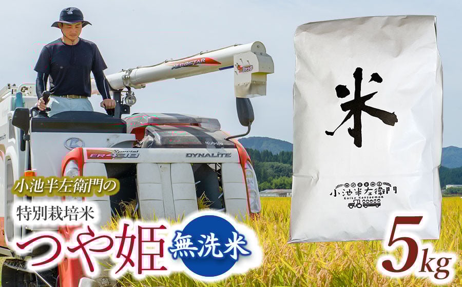 
            数量限定 【令和7年産】 山形県庄内産 小池半左衛門のお米 特別栽培米 つや姫 無洗米 5kg (5kg×1袋)
          