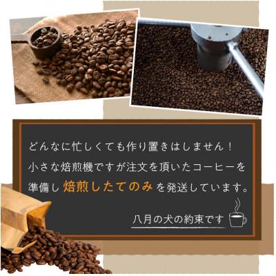 ふるさと納税 京丹後市 【栽培期間中農薬不使用】自家焙煎コーヒー豆 お試しセット(200gx3種)<豆のまま> 小分け |  | 03