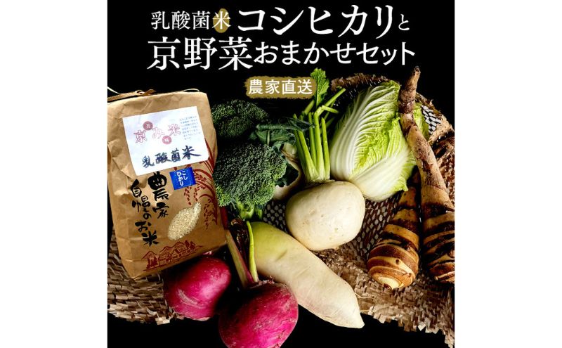 【数量限定販売】乳酸菌米コシヒカリと京野菜おまかせセット			