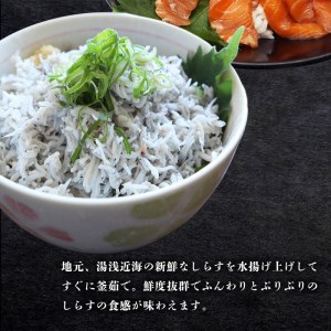 紀州湯浅醤油を使ったサーモンとカンパチの漬け＆釜揚げしらすの 海鮮丼 ３種セット×２ 計６００g【uot757】 