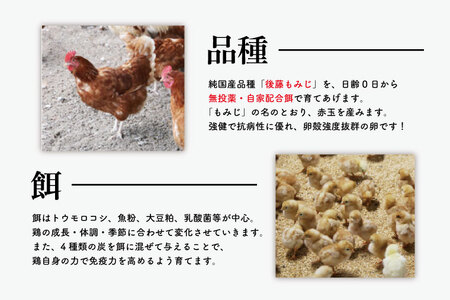 AQ011　【3ヶ月定期便】高橋ファームの丈夫卵30個入り